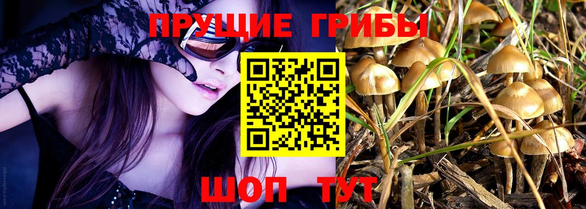 Псилоцибиновые грибы Psilocybine cubensis  Вход с VPN  Галлюциногенные грибы ЛСД  Волгоград 