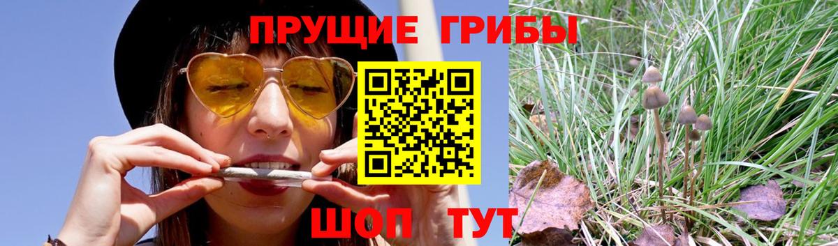 Псилоцибиновые грибы Magic Shrooms Волгоград